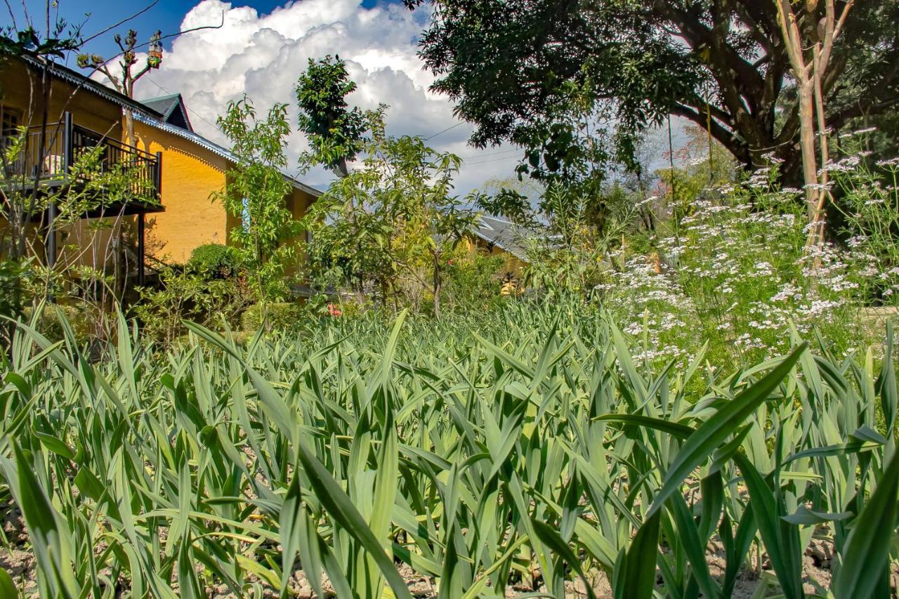 Prakriti Aalay - Riverside Mountain View Boutique Eco Resort Дхарамсала Екстериор снимка