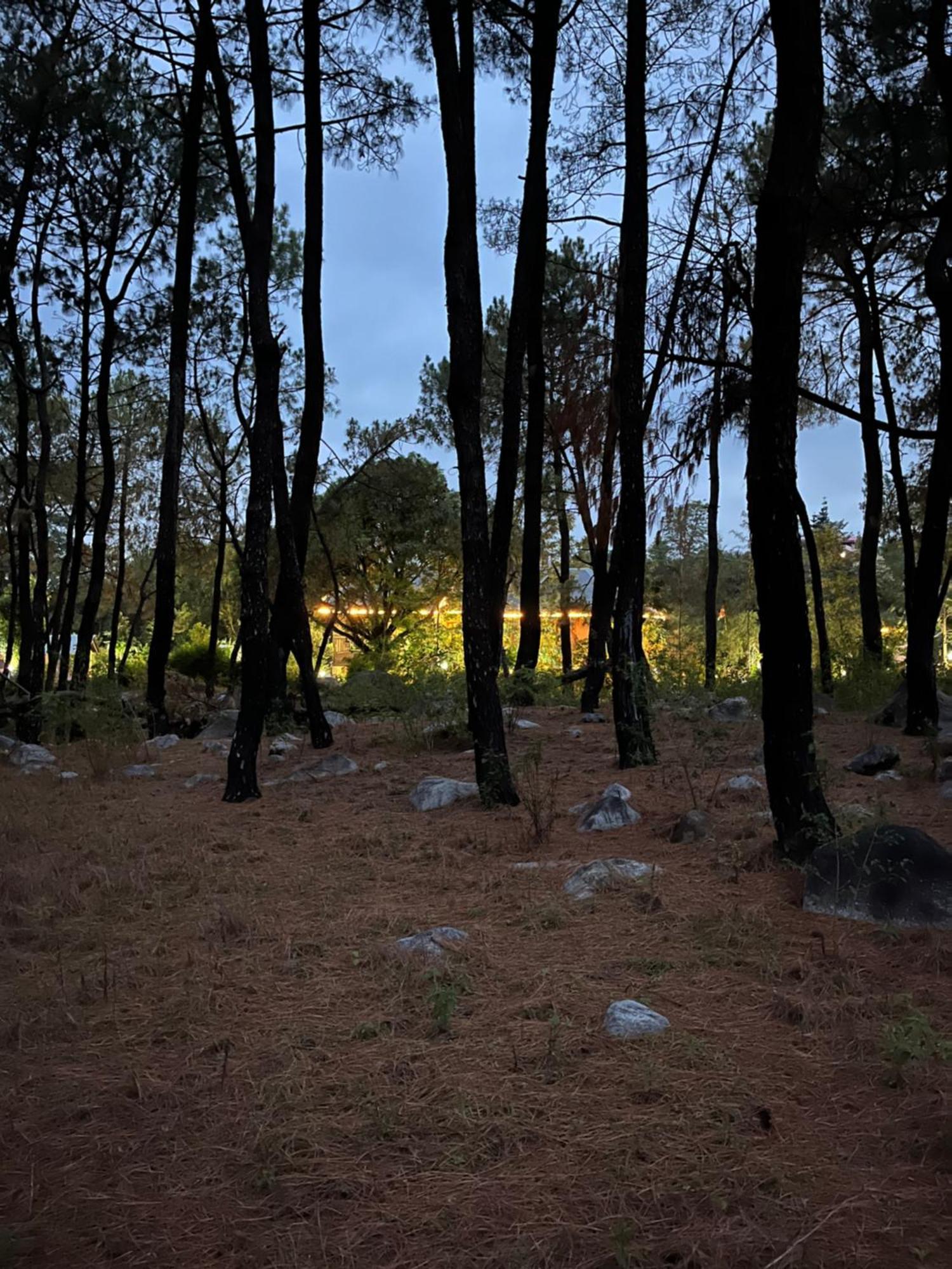 Prakriti Aalay - Riverside Mountain View Boutique Eco Resort Дхарамсала Екстериор снимка