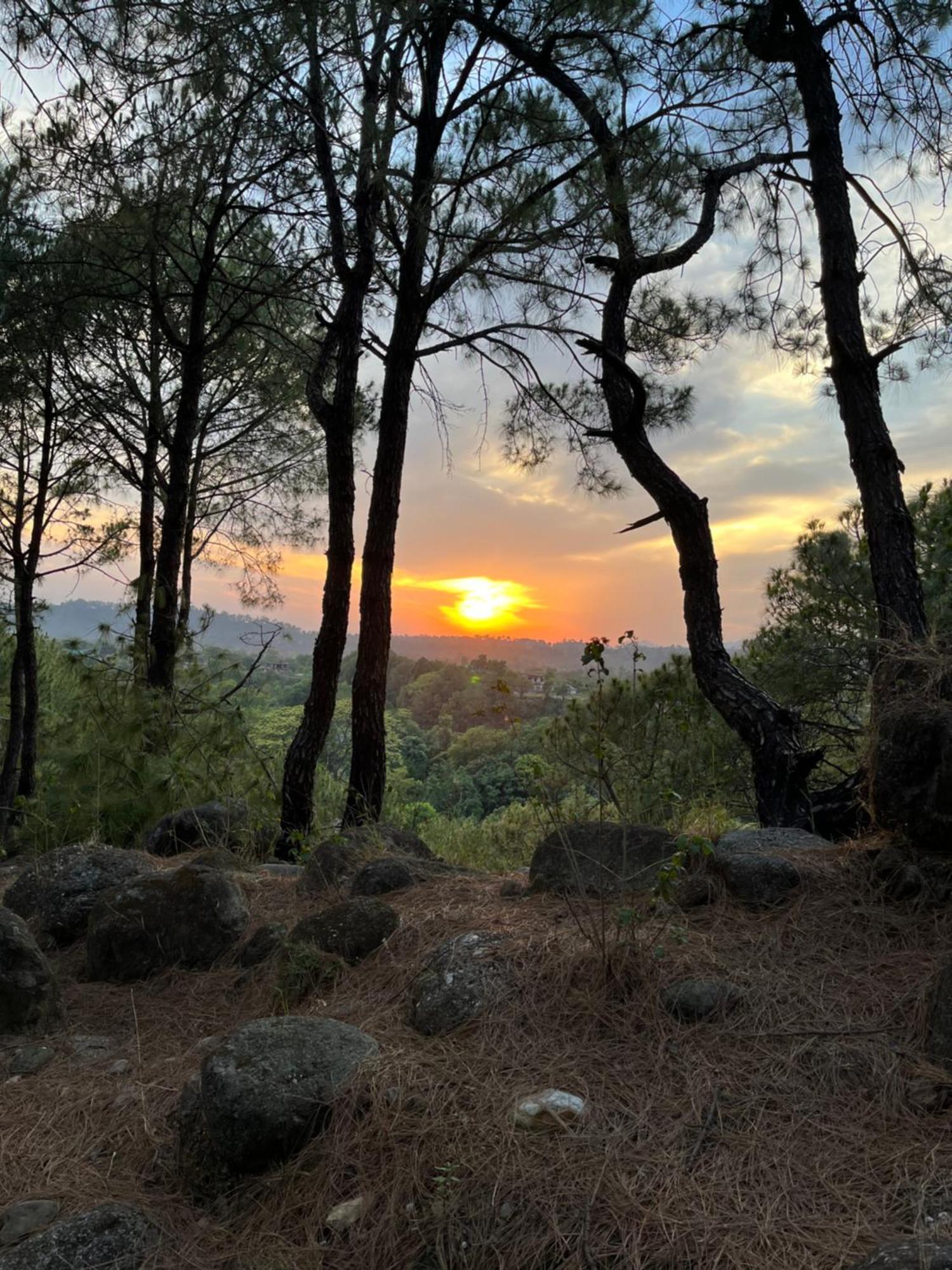 Prakriti Aalay - Riverside Mountain View Boutique Eco Resort Дхарамсала Екстериор снимка